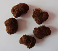 Load image into Gallery viewer, Bun nets